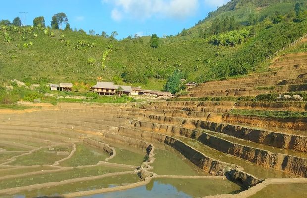 Ban Lien's terraced rice field in autumn